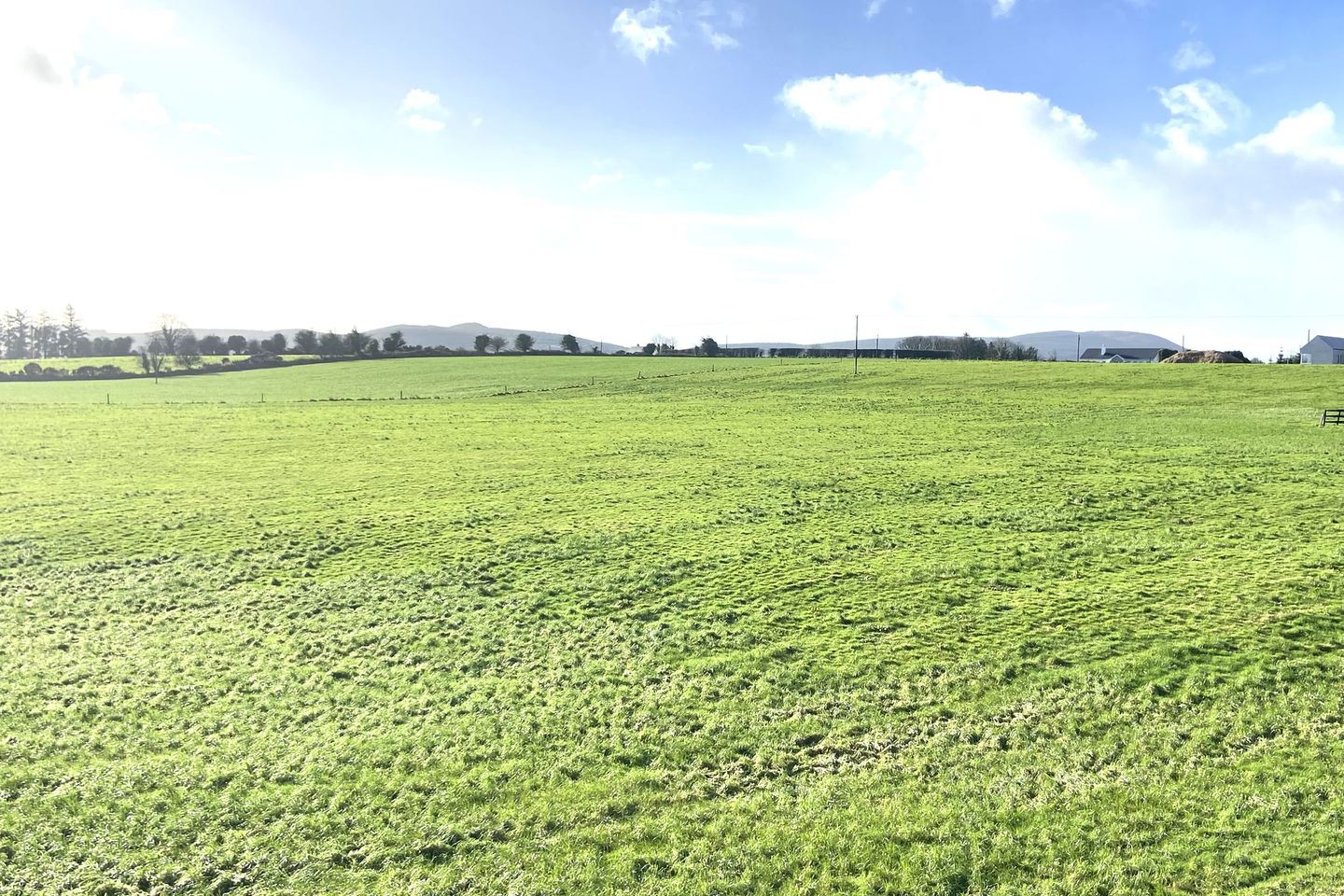 Tully, Kilmallock, Co. Limerick