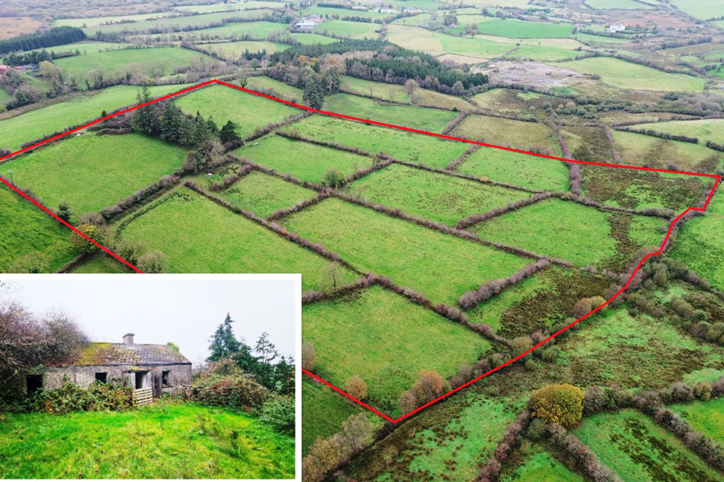 Drumeva, Bailieborough, Co. Cavan