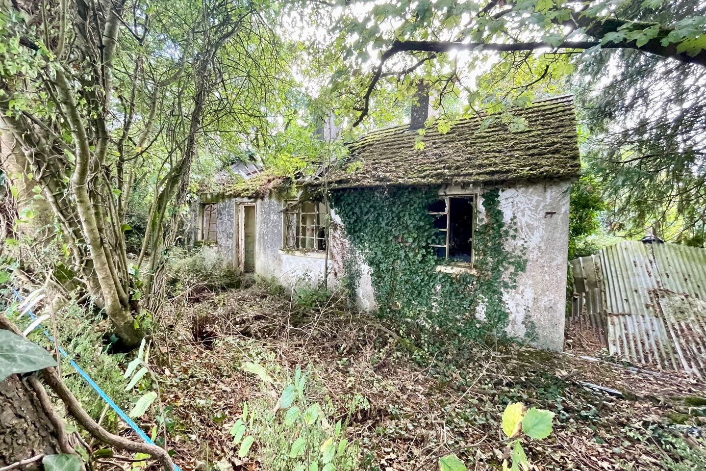 Ballyvergal, Palatine, Carlow, Co. Carlow