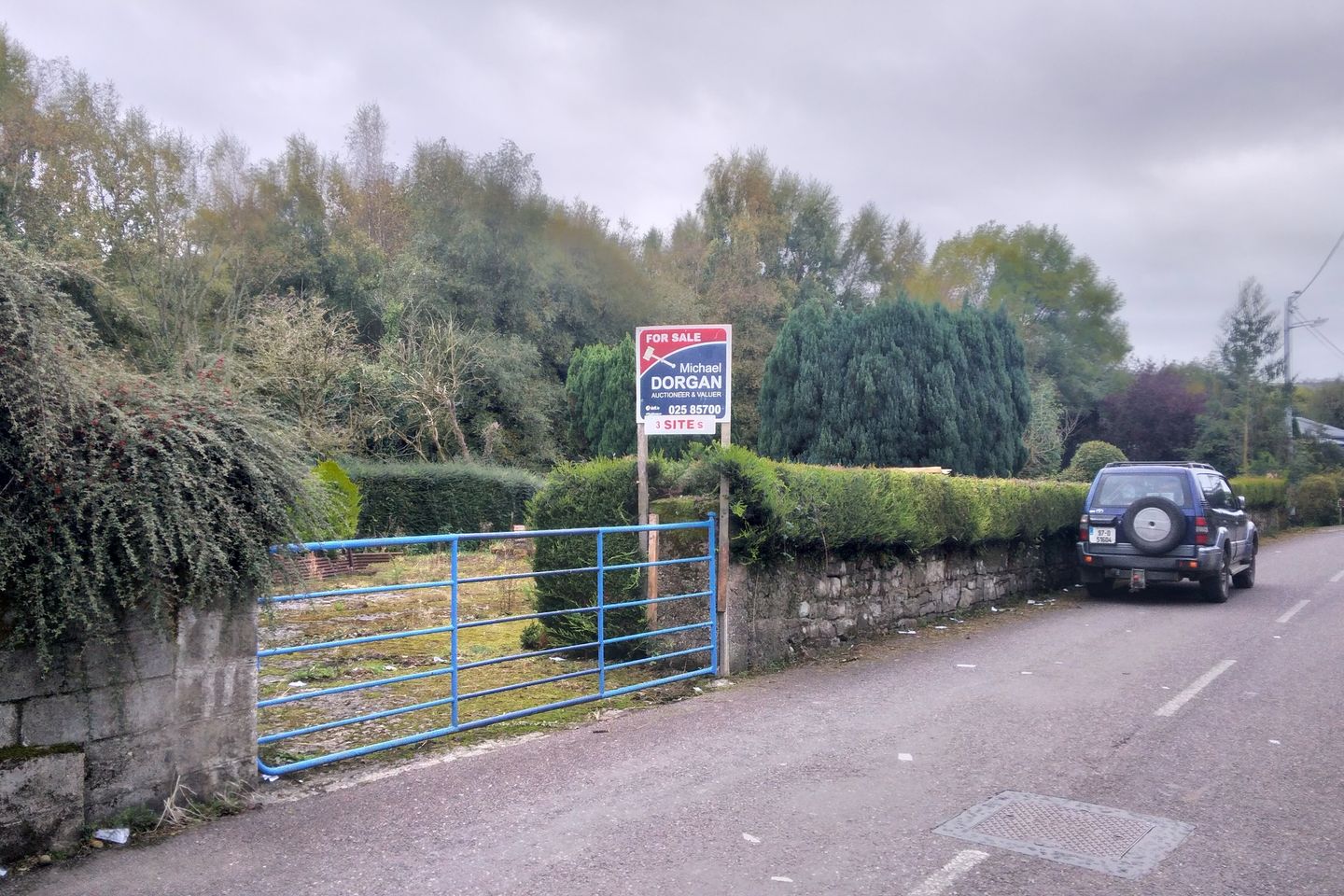 Ronald Reagan Site, River Lane, Ballyporeen near, Mitchelstown, Co. Cork