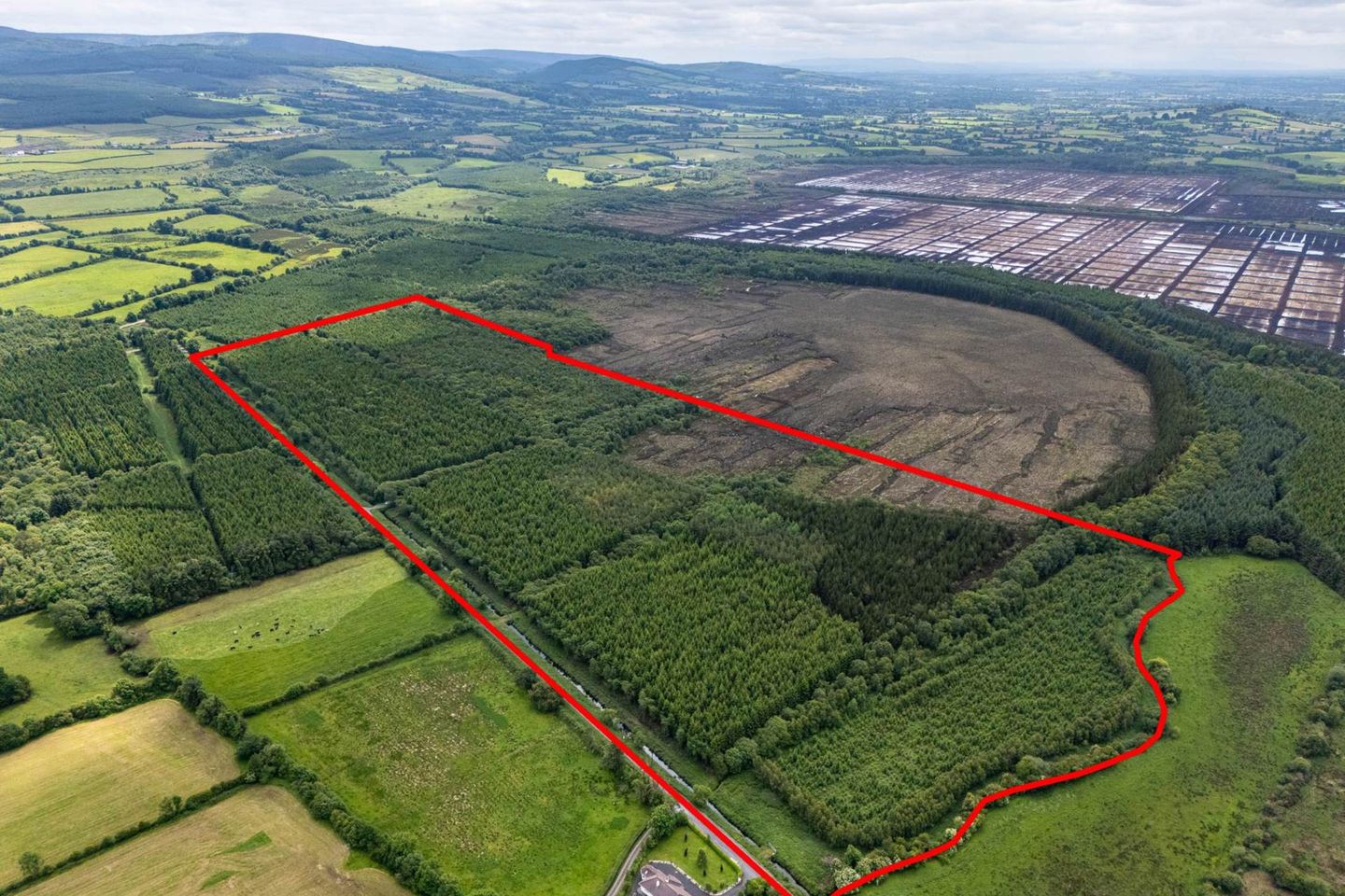Curragh, Cadamstown, Co. Offaly