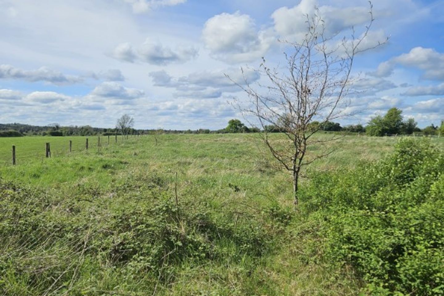 Ballindoolin, Edenderry