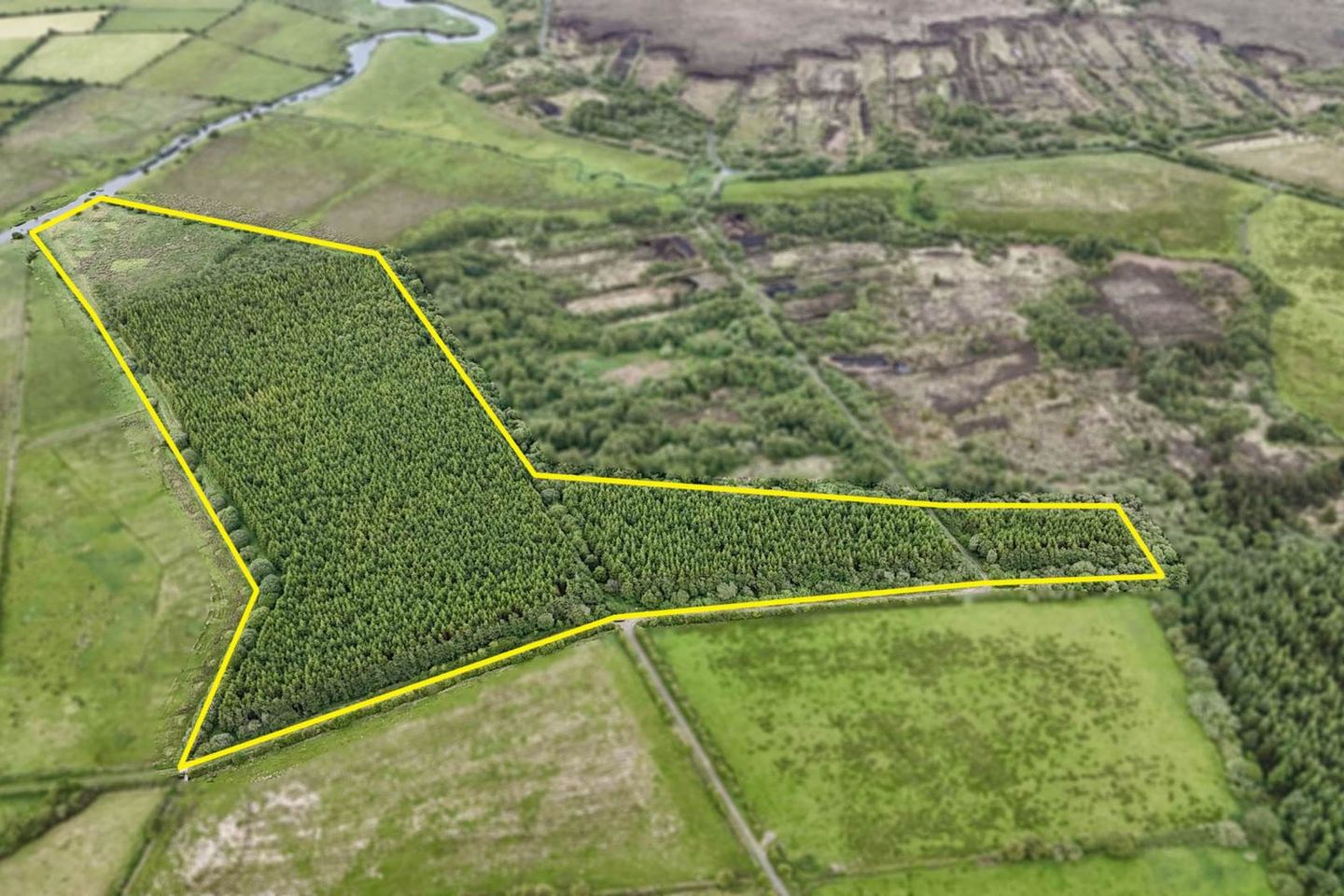 21.3 ACRES (approx) OF PRIME GROWING FORESTRY LOCATED AT TREANBOY, Ballymoe, Co. Galway