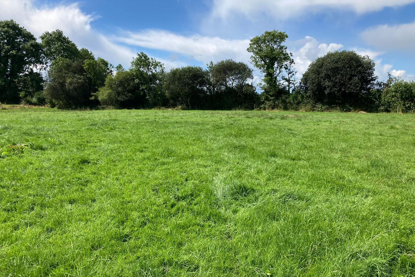 Fossabeg, Scarriff, Co. Clare is for sale on Daft.ie