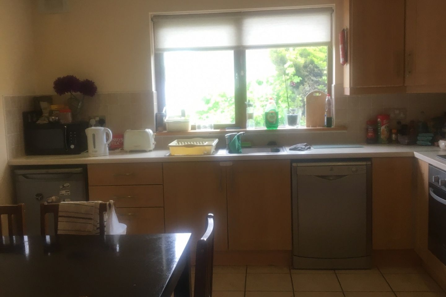 Westbury Woods, Enniscorthy, Co. Wexford, Enniscorthy, Co. Wexford