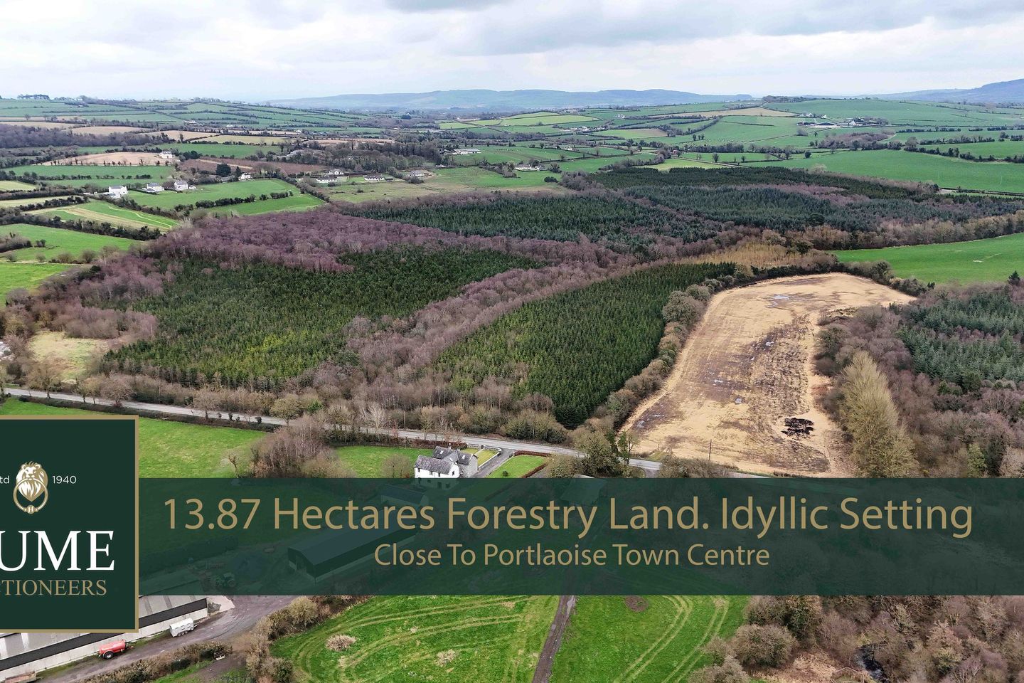 13.87 Hectares Forestry, Ballynockan, Portlaoise, Co. Laois