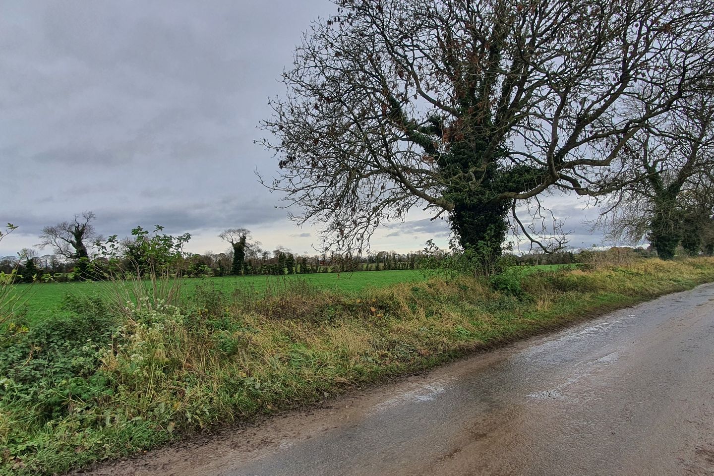 Dowthstown, Wilkinstown, Co. Meath