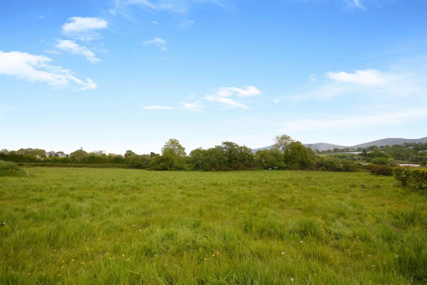 Coolnamara, Borris, Co. Carlow