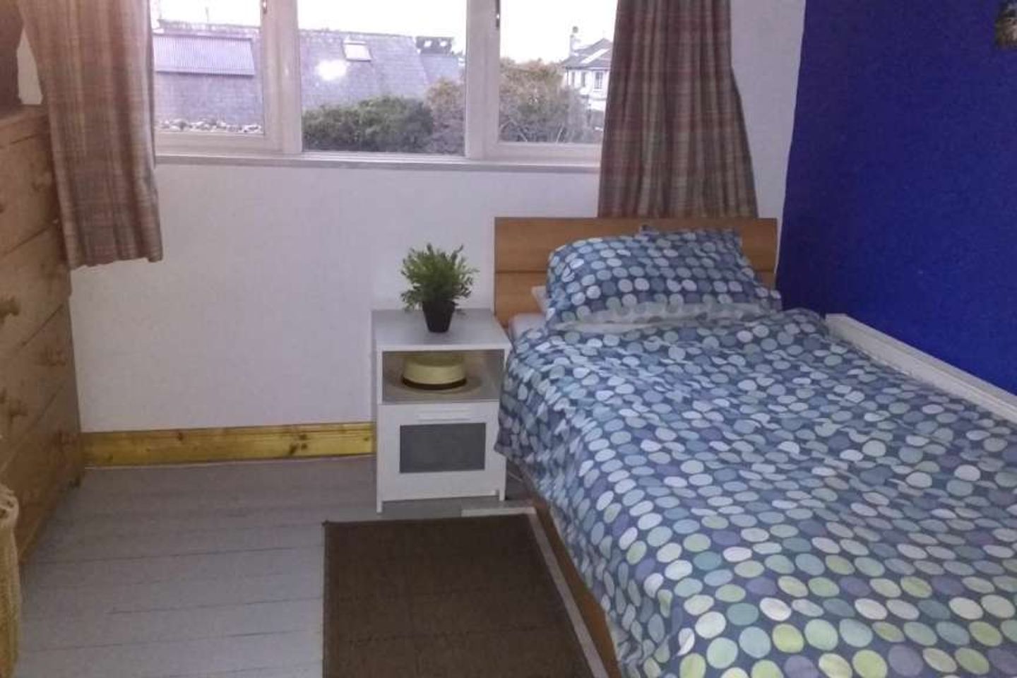 Brooklawn Wood, Blackrock, Co. Dublin