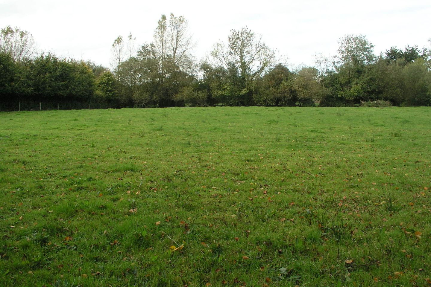 Dromard Beg, Clonmore, Templemore, Co. Tipperary is for sale on Daft.ie