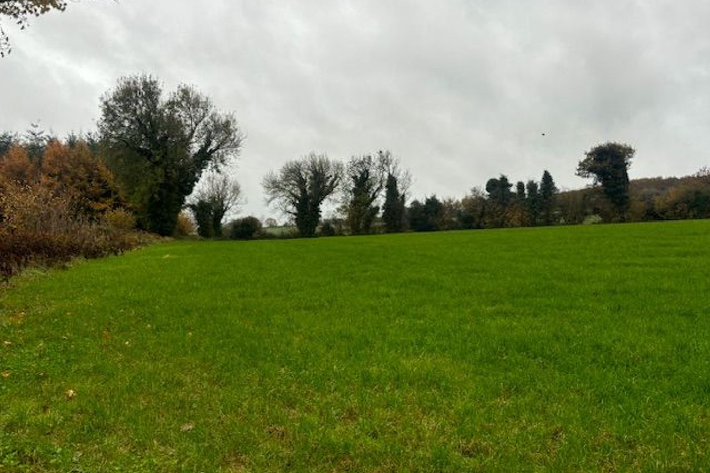 Mangan, Killane , Enniscorthy, Co. Wexford
