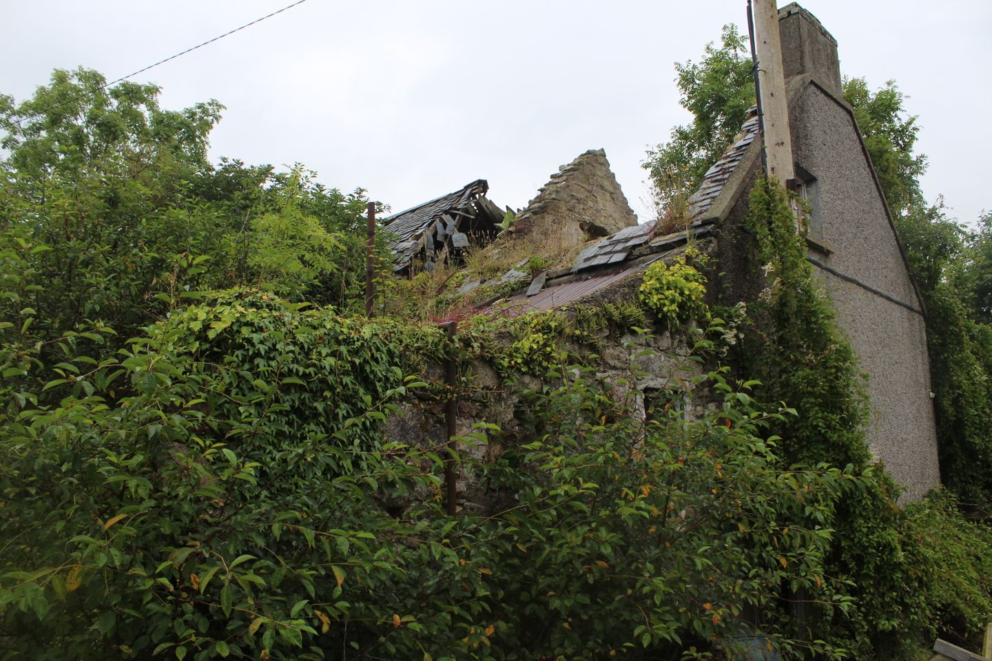 Hollybrook,, Myshall,, Co. Carlow