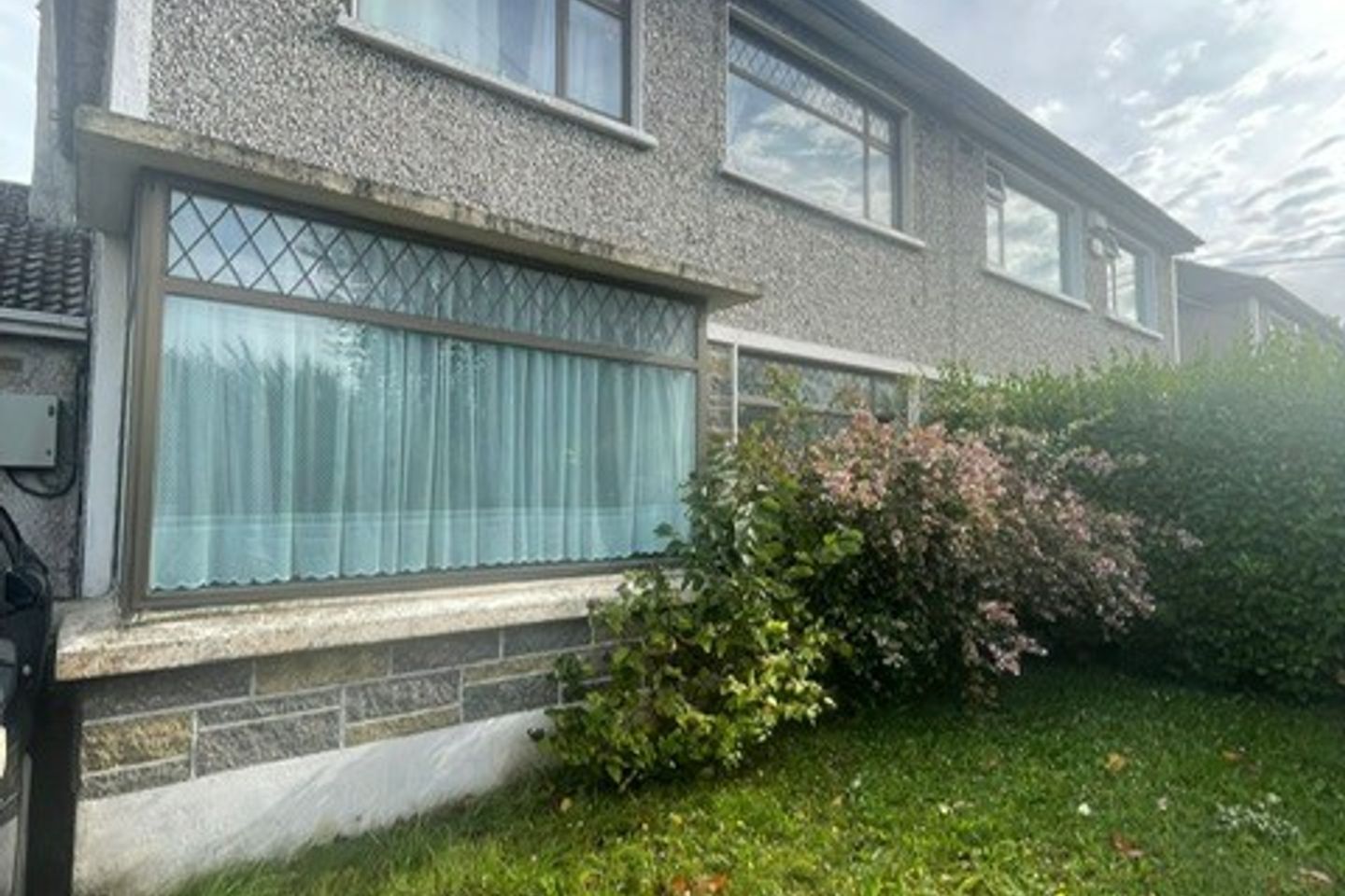 Anne Devlin, Rathfarnham, Dublin 16