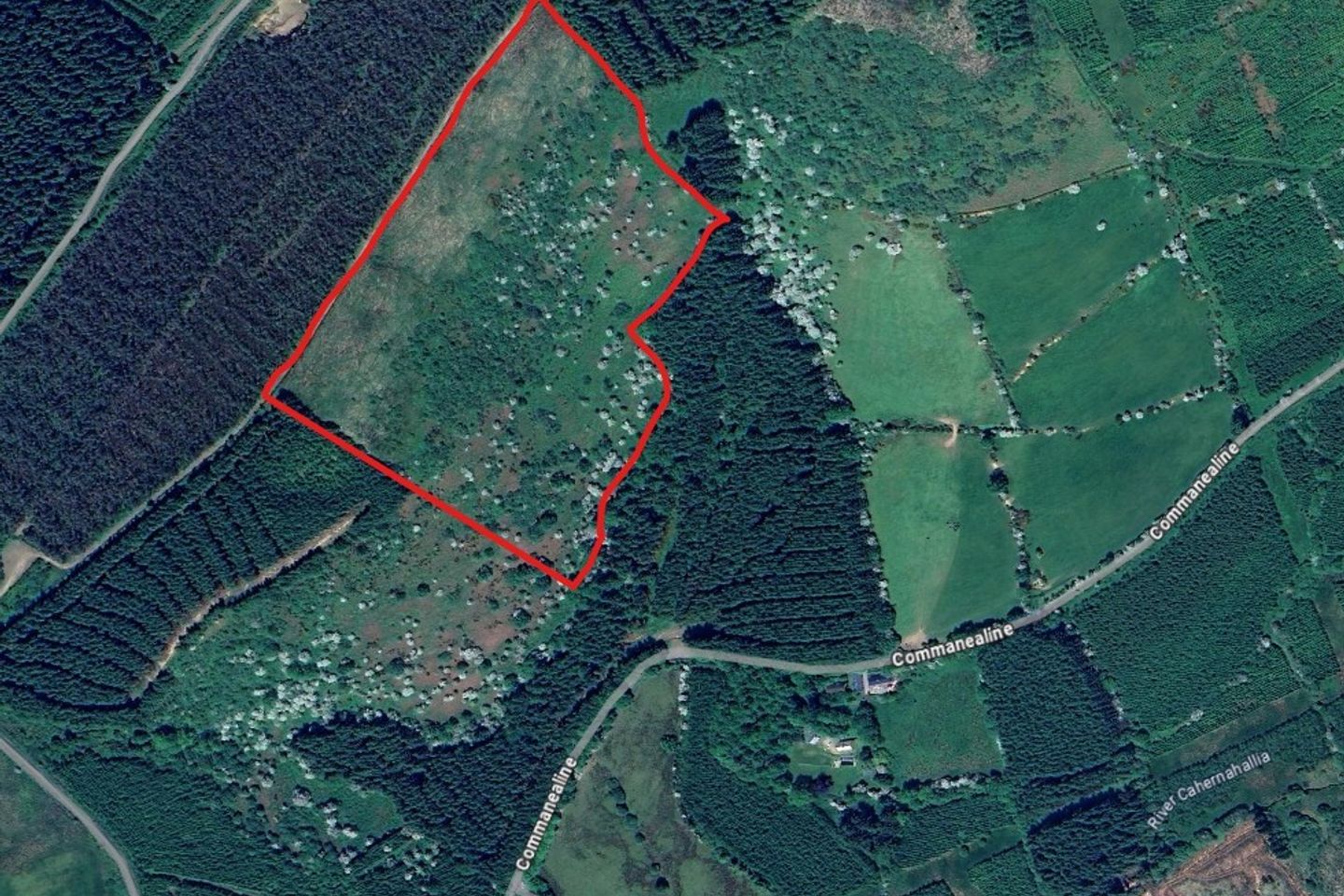c.19.03 Acres, Commonline, Doon, Cappawhite, Co. Tipperary