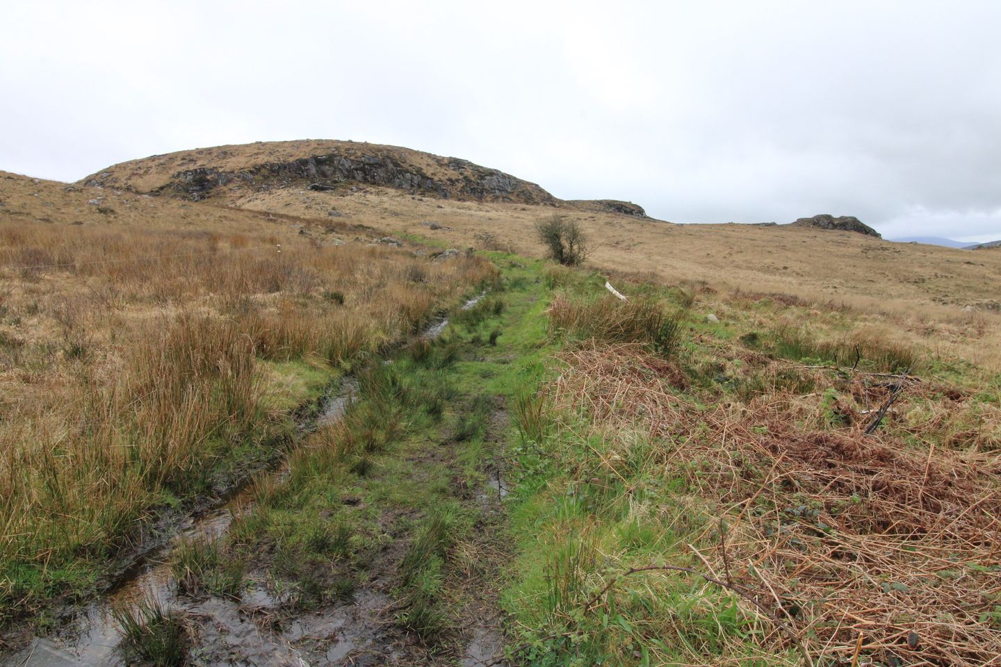 Commercial property for sale in Glenduff Rooskey, Foxford, Co. Mayo