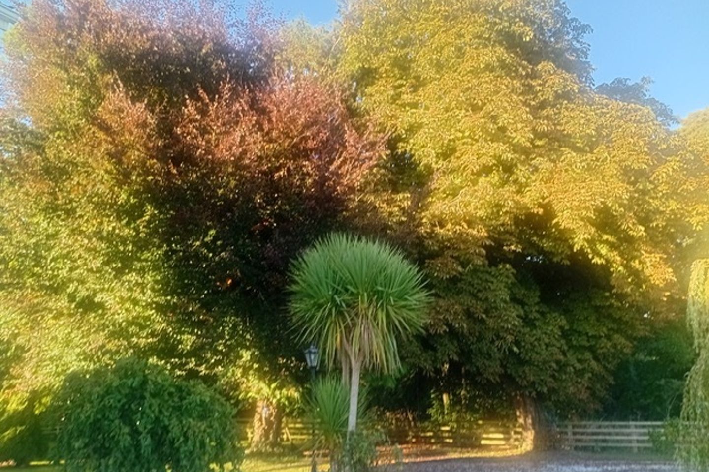 Kilcreene, Kilkenny, Co. Kilkenny