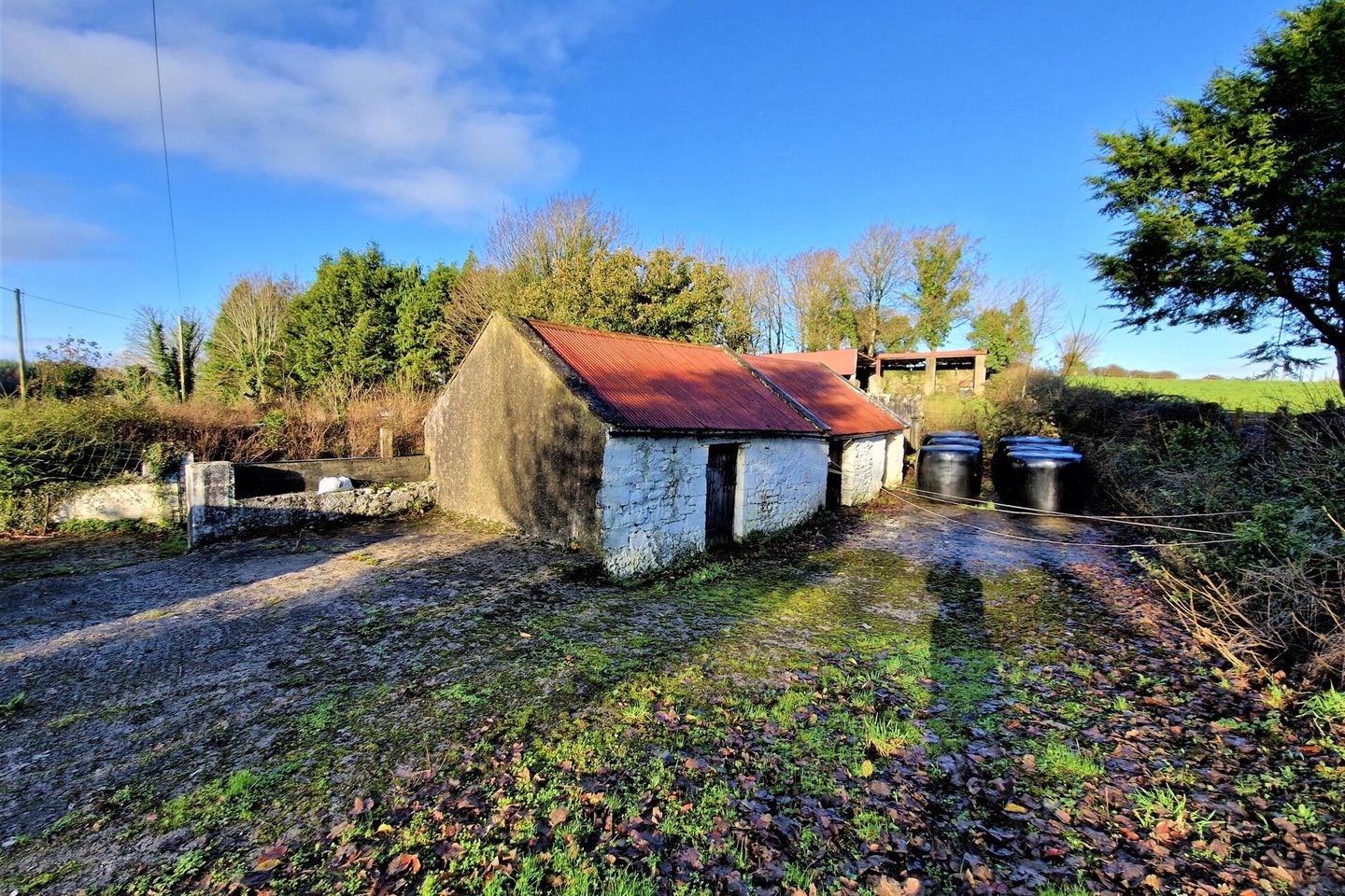 Meelick is for sale on Daft.ie