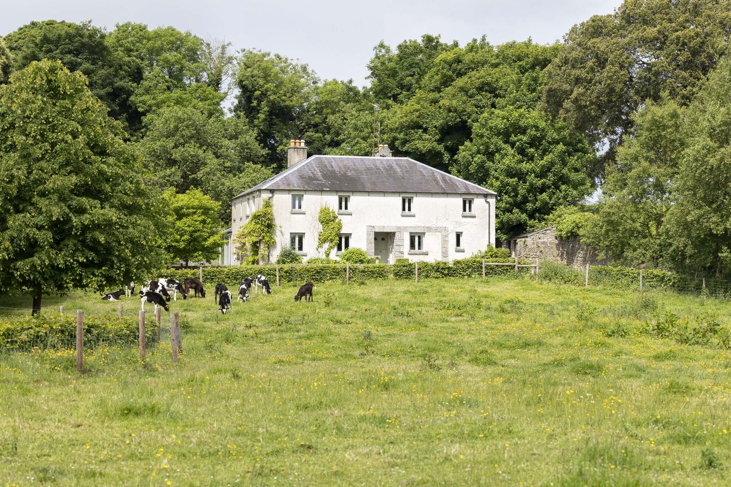 Crossdrum Lower, Oldcastle, Oldcastle, Co. Meath, A82R2P0 is for sale