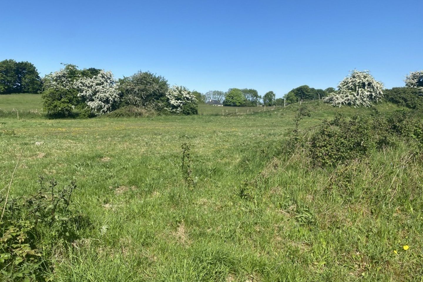1.5 Acre Residential Site 2, Drumone, Co. Meath