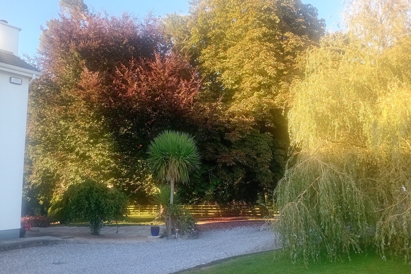 Clonshara, Kilcreene, Kilkenny, Kilkenny, Co. Kilkenny