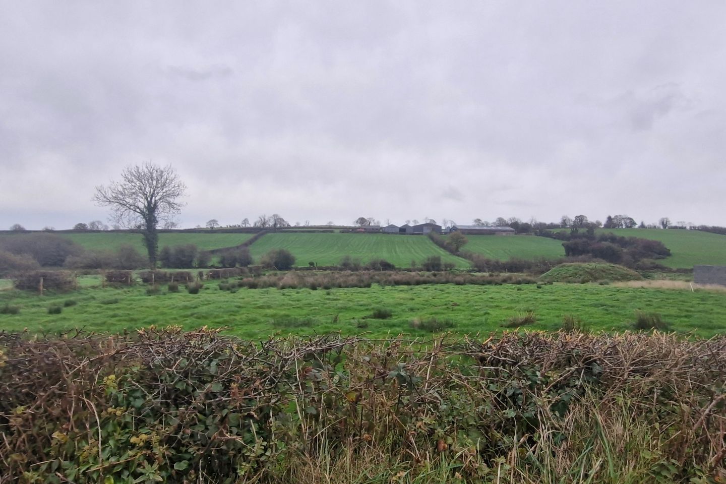 Site For Sale, Crosshugh, Ardaghy, Co. Monaghan