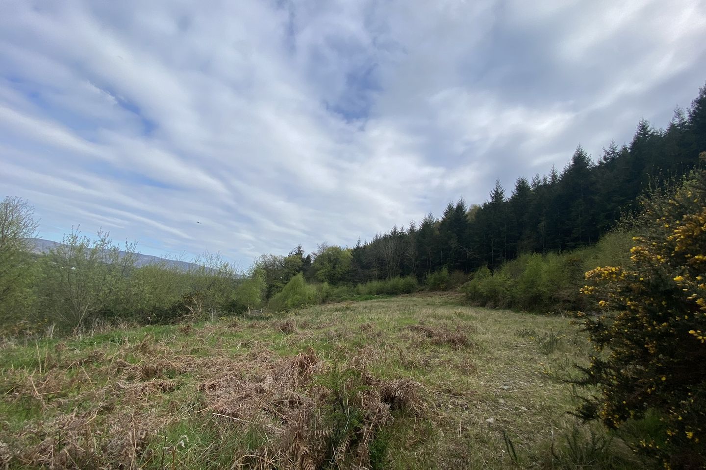 Brandondale, Graiguenamanagh, Co. Kilkenny, R95T2X4 is for sale on Daft.ie