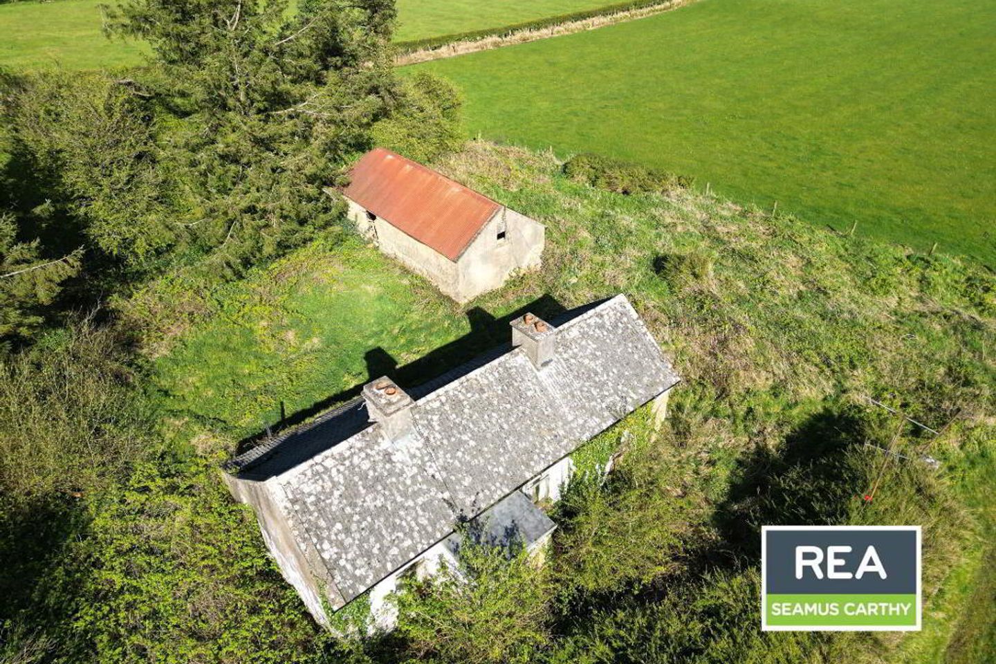 Grallagh, Ballinagare, Castlerea, Co. F45AY60 is for sale on