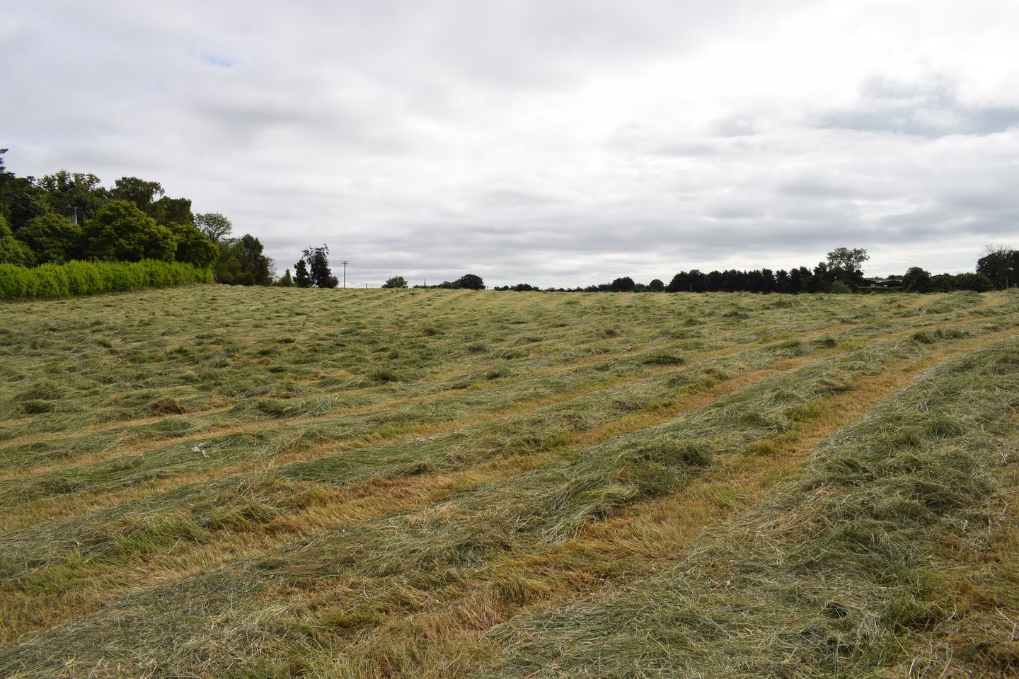 Commercial property for sale in Land at Rathvinden, Leighlinbridge, Co