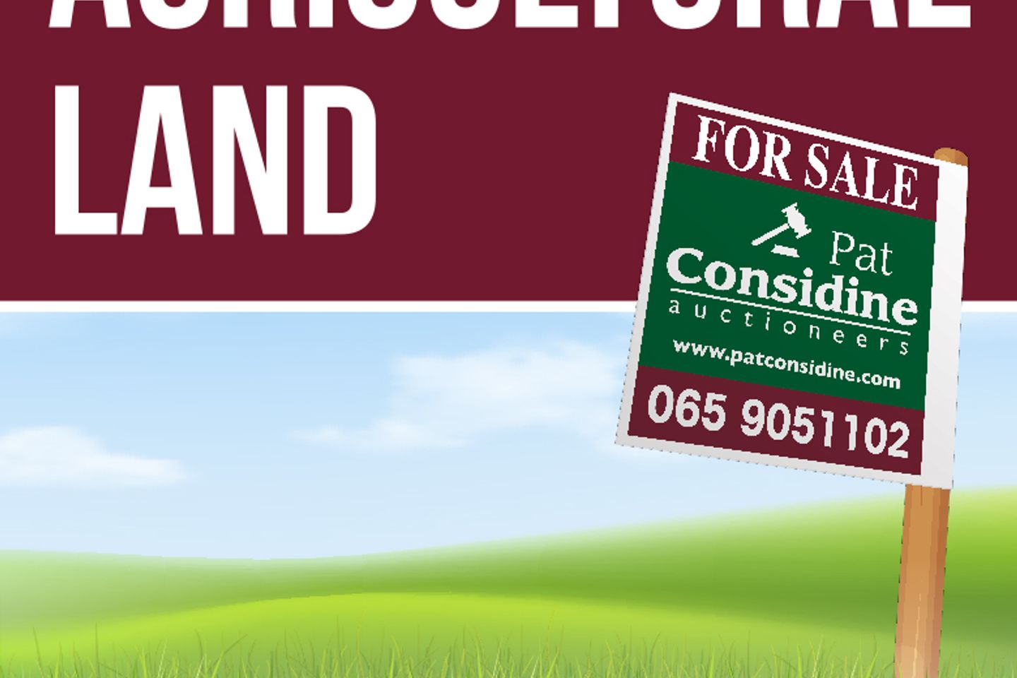 Commercial property for sale in Ballyveskil, Tiermaclane, Ennis, Co. Clare