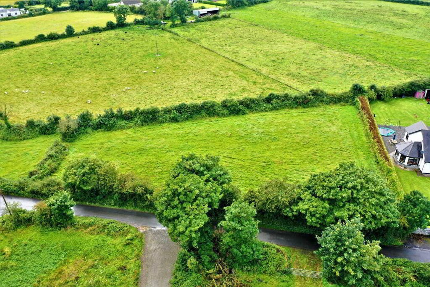 Tombricane, Borrisokane, Nenagh, Co. Tipperary