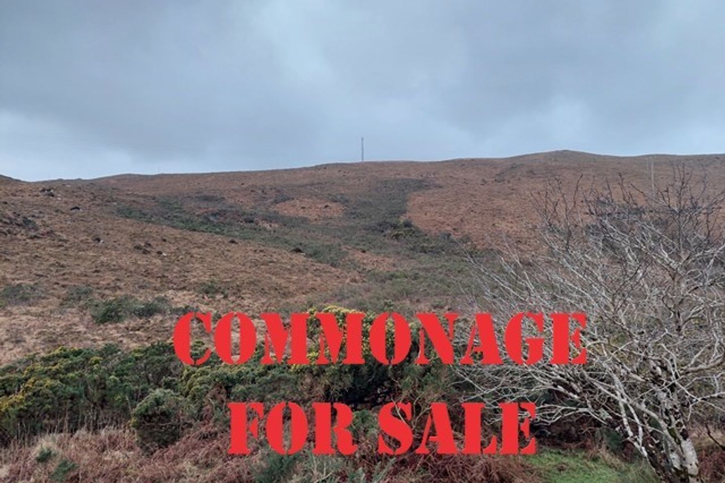 Commercial property for sale in Cuillaloughaun, Achill Road, Mulranny
