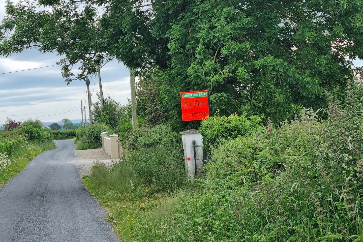 Commercial property for sale in Faha Demesne, Patrickswell, Co. Limerick