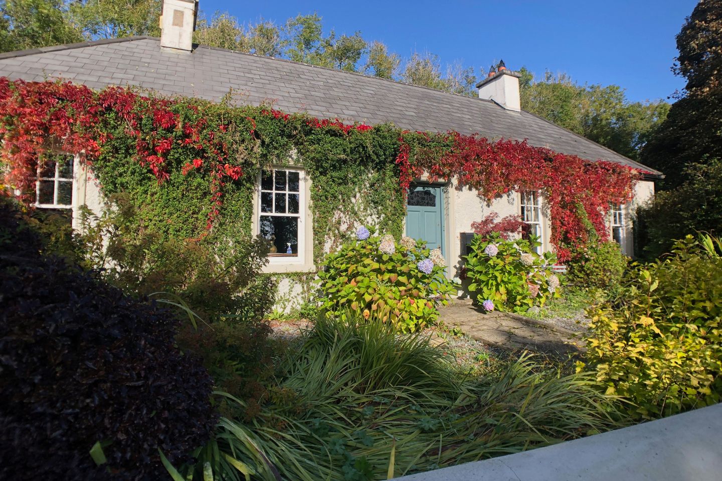 Monksland, Carlingford, Co. Louth is for sale on Daft.ie