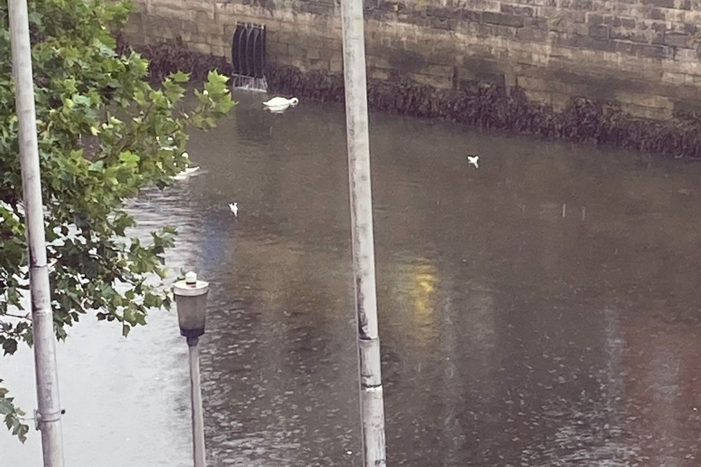 Ushers Quay, Dublin 8
