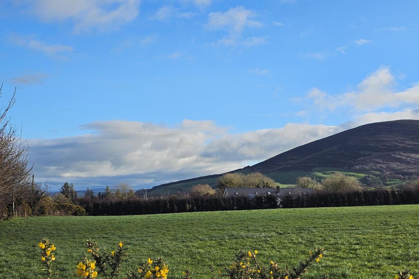 Kippagh, Millstreet, Co. Cork is for sale on Daft.ie