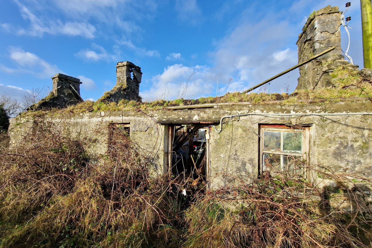 Derelict house and 12.42 Acres of Forestry at Cuillaun, Ballindine, Co