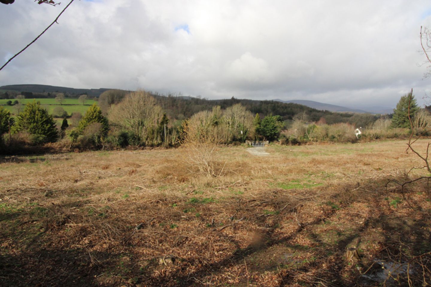 Ballinacarrig Lower, Rathdrum, Co. Wicklow