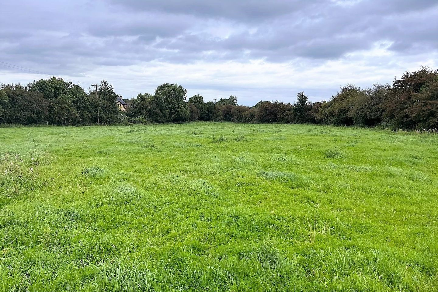 Commercial property for sale in Fanningstown, Patrickswell, Co