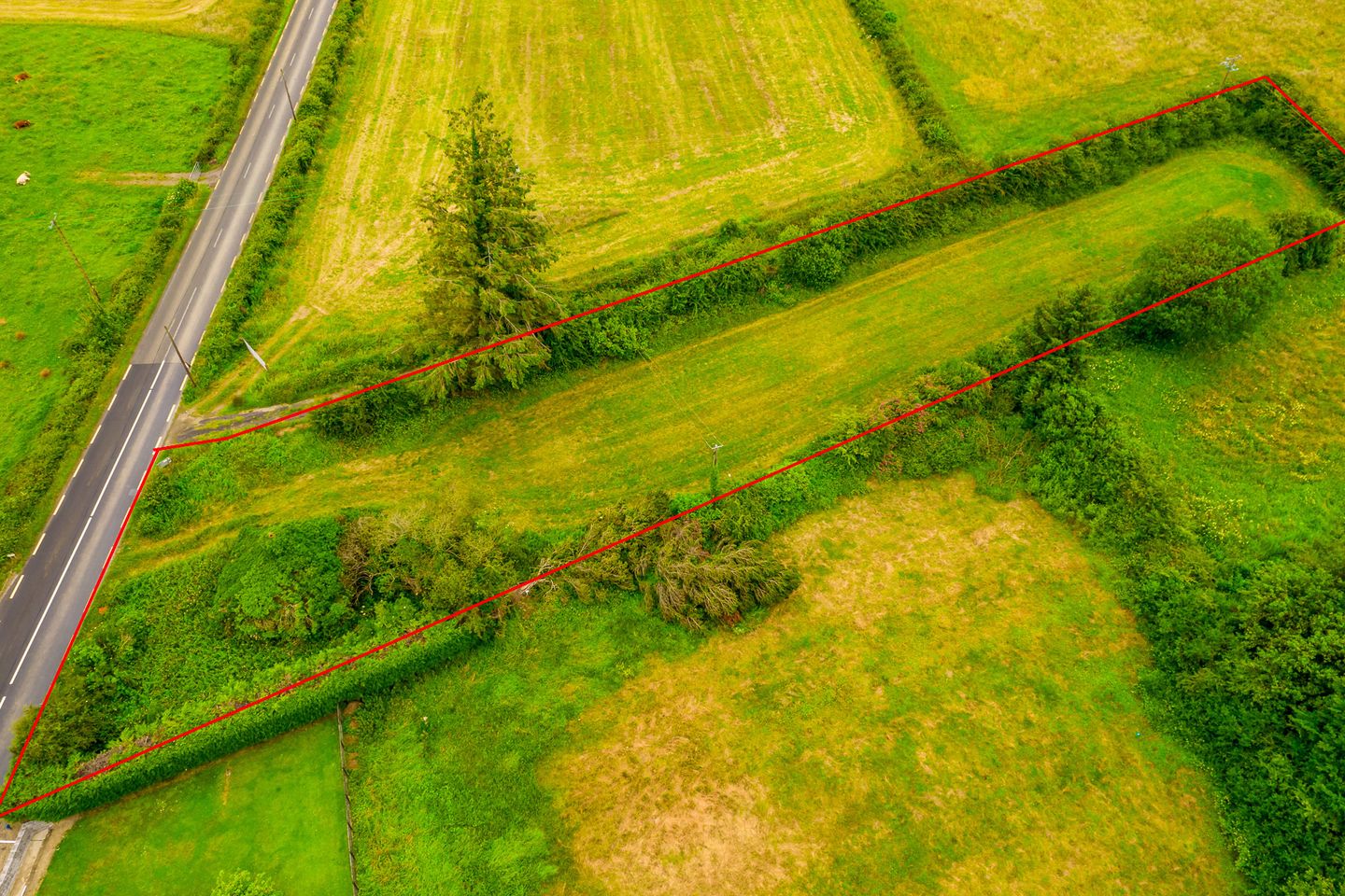 Scramoge, Roscommon, Co. Roscommon