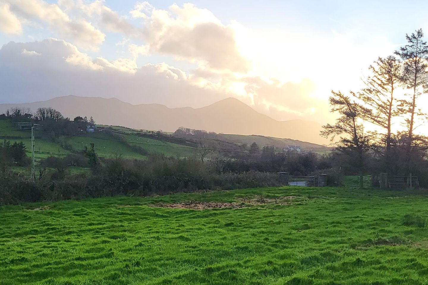 Buckfield, Kilmeena, Co. Mayo, F28T289