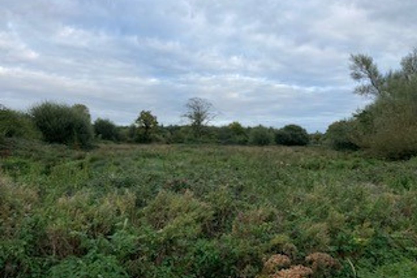 Commercial property for sale in Dromsallagh, Cappamore, Co. Limerick