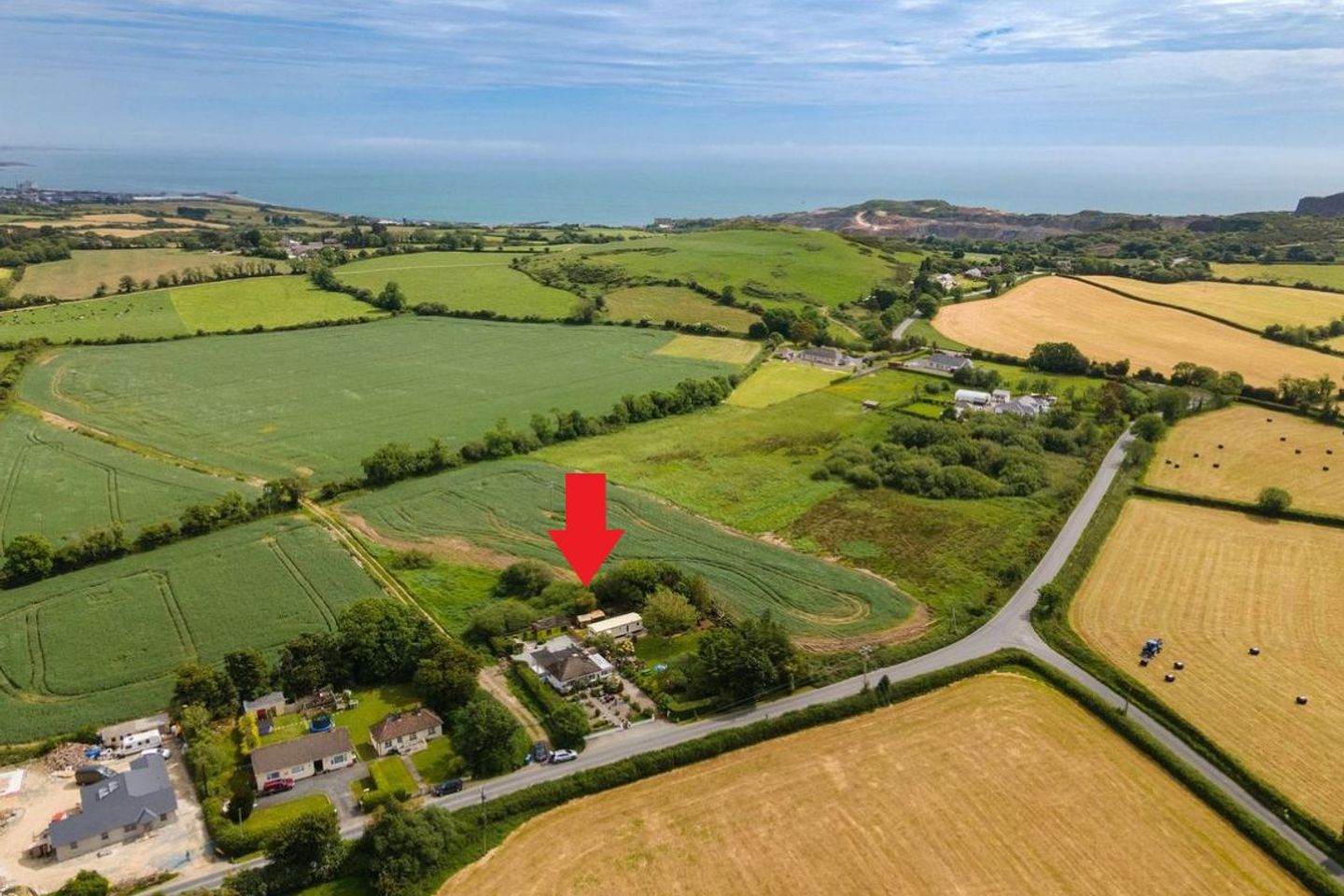 Pride O'Morn, Bogland, Clogga, Co. Wicklow, Y14F251