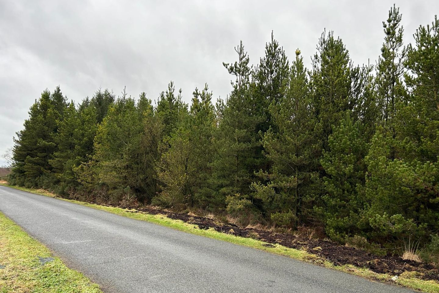 Commercial property for sale in Clonave, Coole, Co. Westmeath