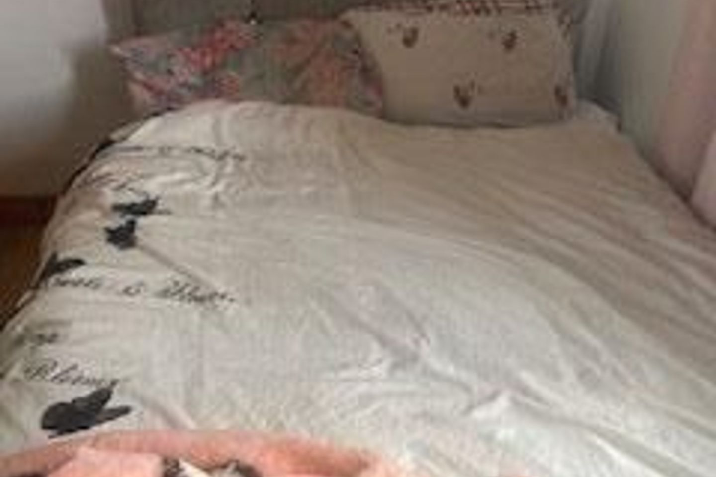 Waterford Road, Carrick-on-Suir, Co. Tipperary