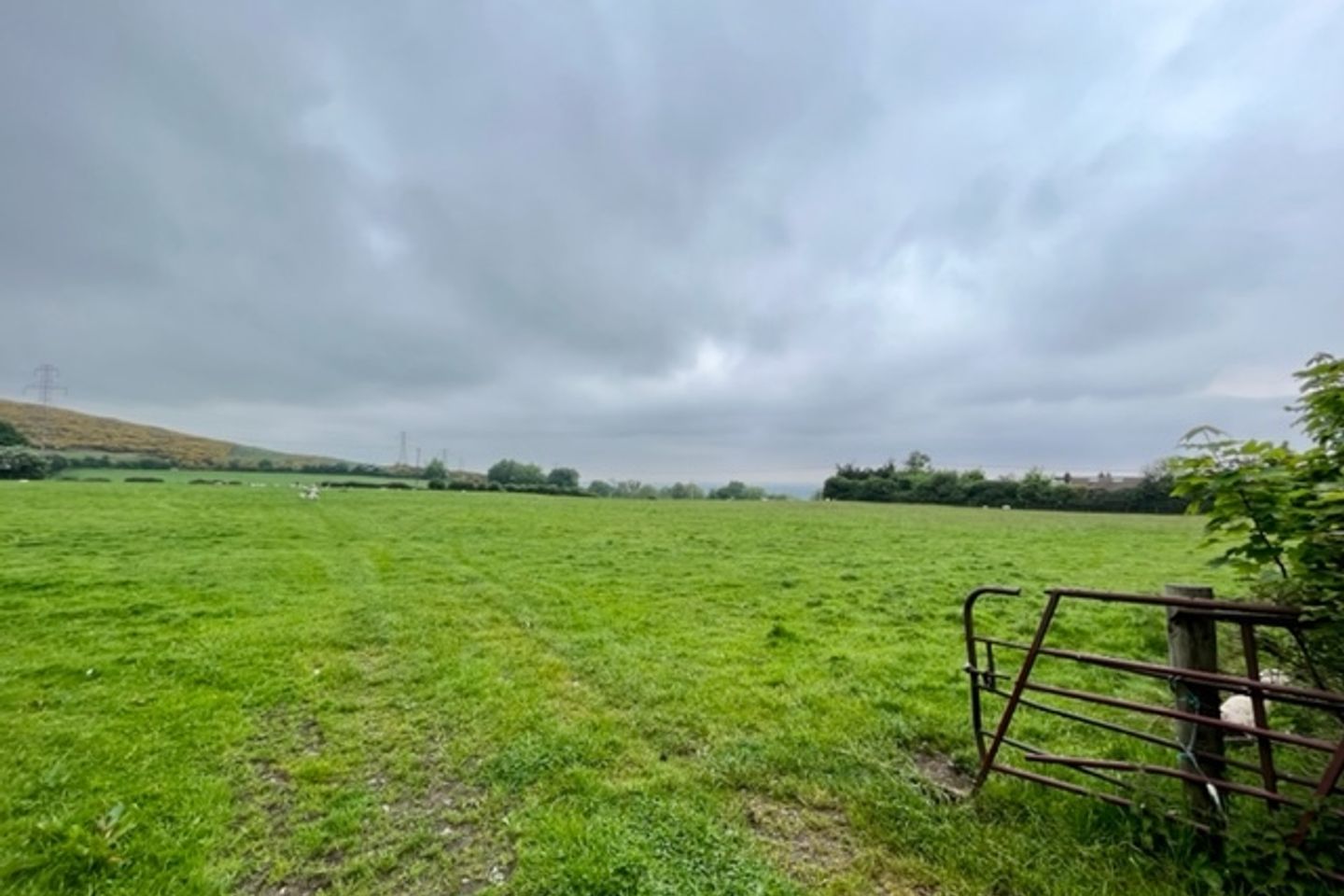 Commercial property for sale in Ticknock Road, Ticknock, Co. Dublin