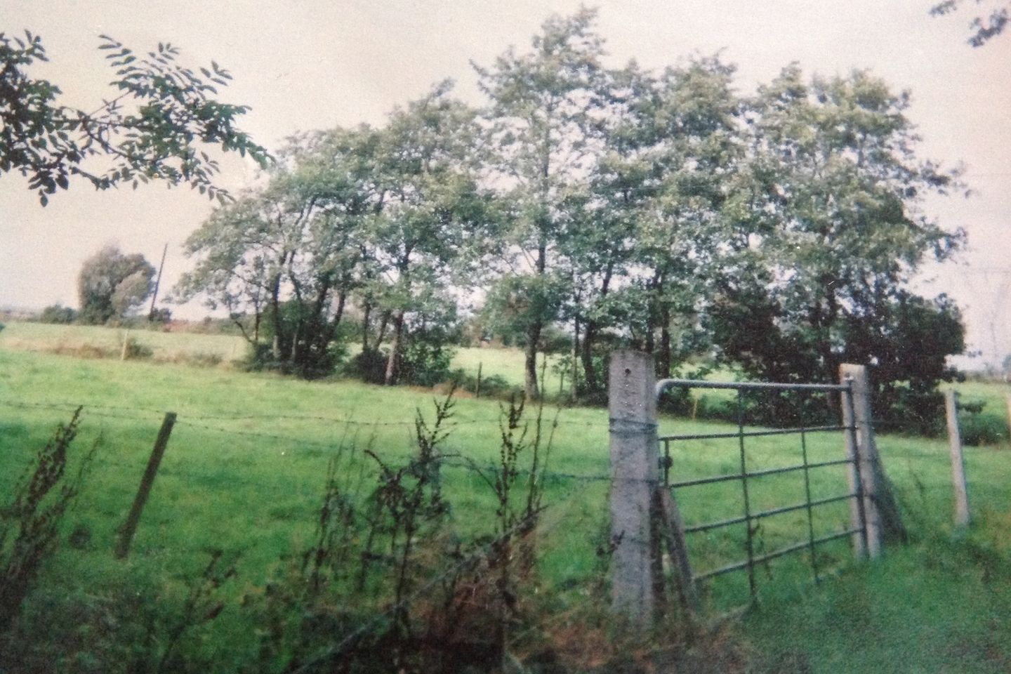 Lenaboy, Clonbern, Co. Galway