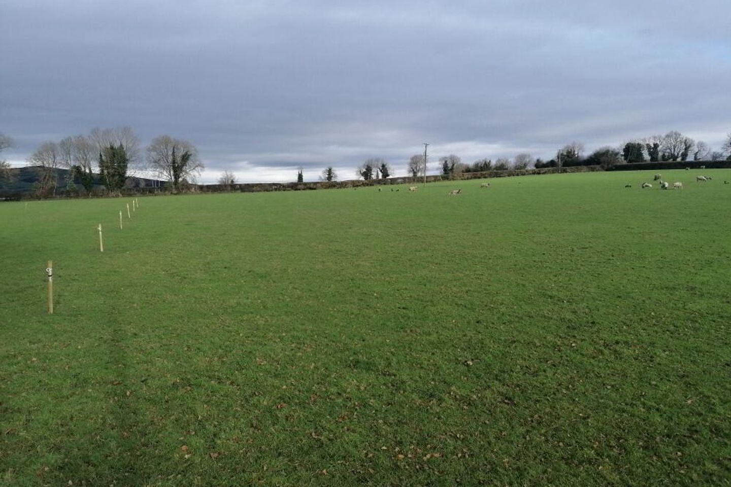 Mount Kelly, Rathvilly, Co. Carlow