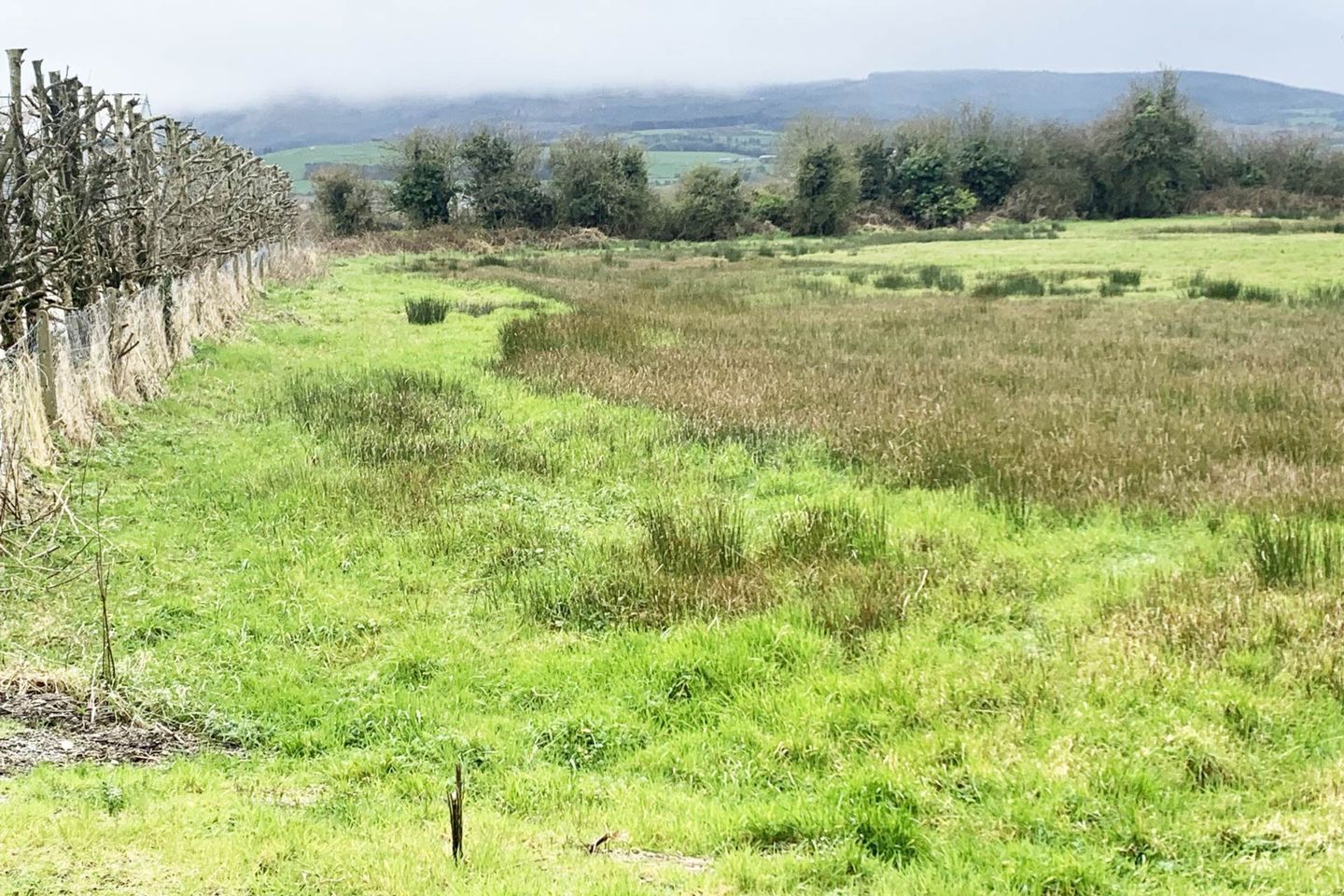 Ballinahown, Kilmallock, Co. Limerick, Kilmallock, Co. Limerick