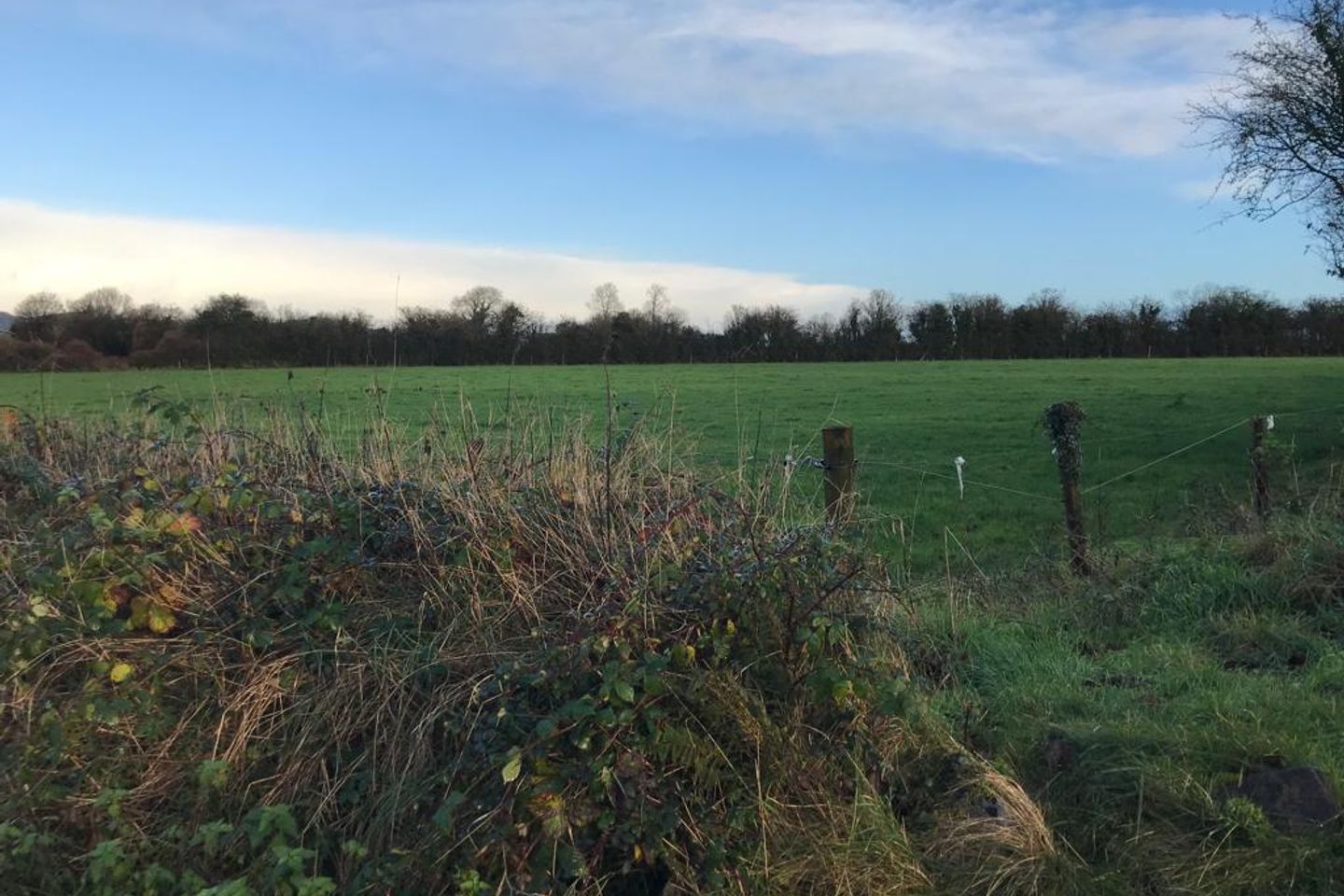 Newtown Kilmacow, Kilmacow, Co. Kilkenny is for sale on Daft.ie