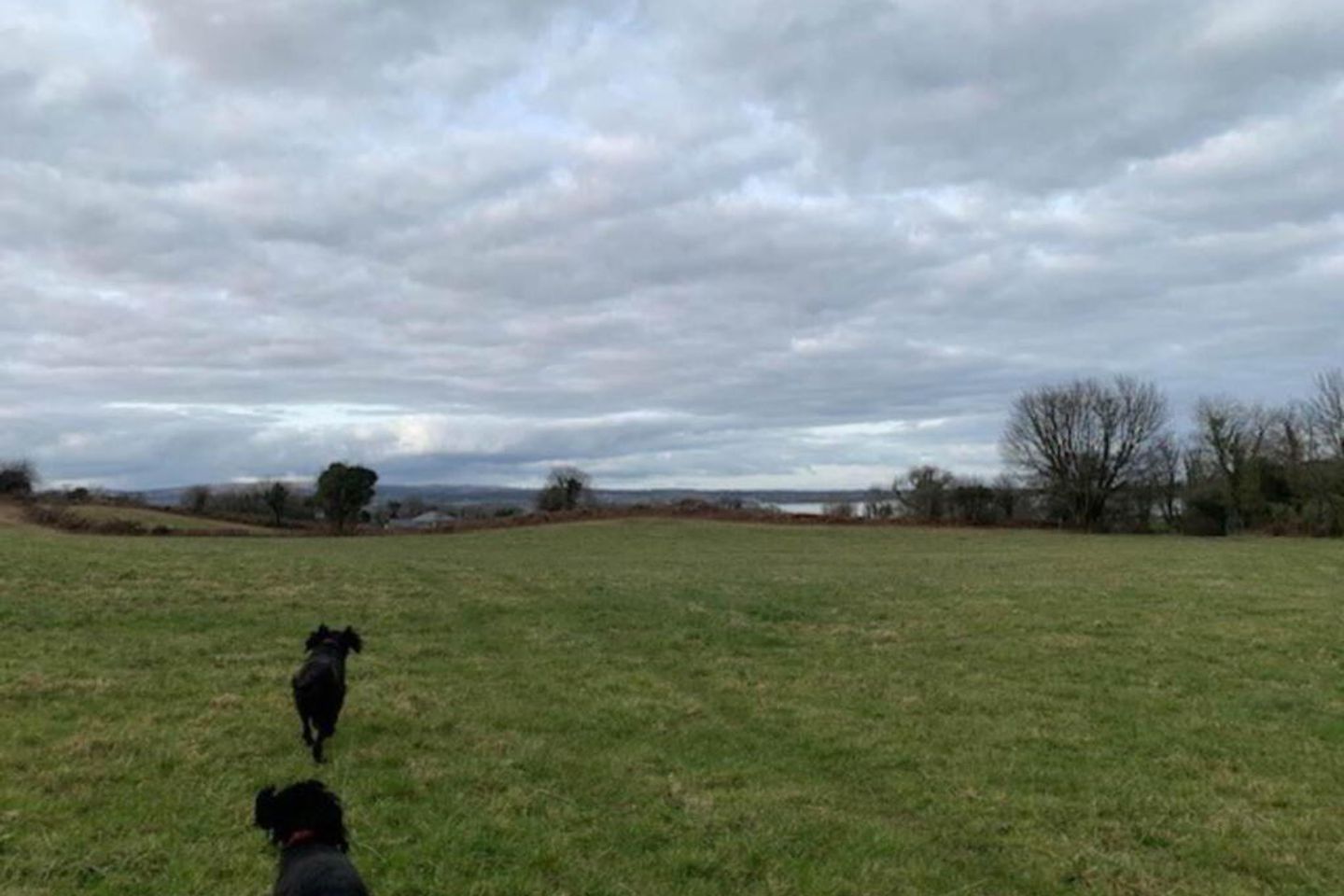 52 Acres (, 21 Ha), Aughinish, Co. Clare